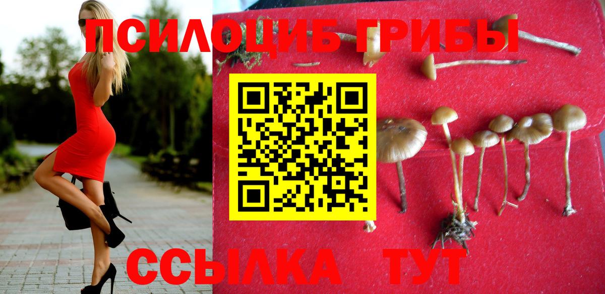 Южноуральск  Галлюциногенные грибы Psilocybine cubensis  Вход с VPN 